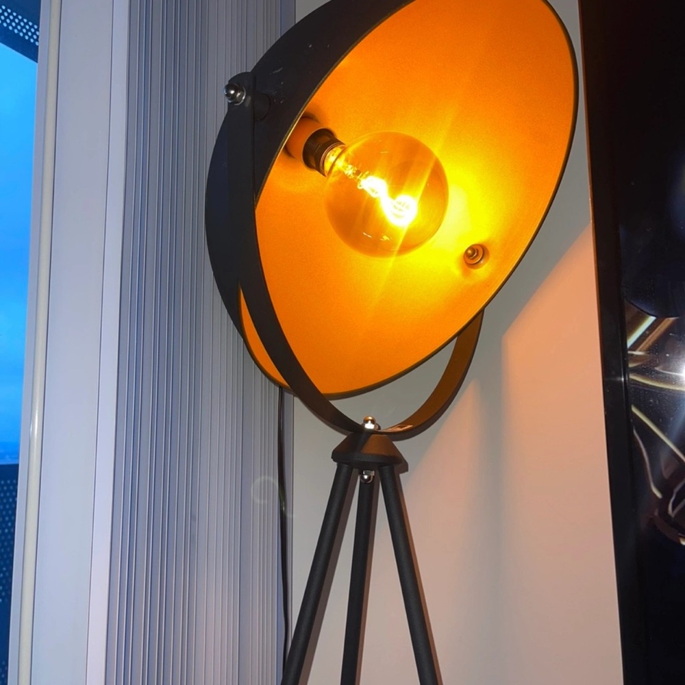 Williston Forge Black and Gold Tripod Lamp